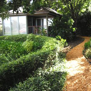 Bay Cottage - Beauty Point Accommodation